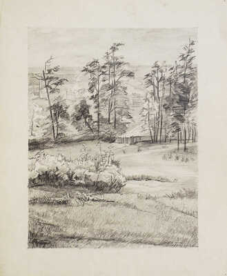 Чеботарёв Константин Константинович. Карабиха. Часть нижнего парка